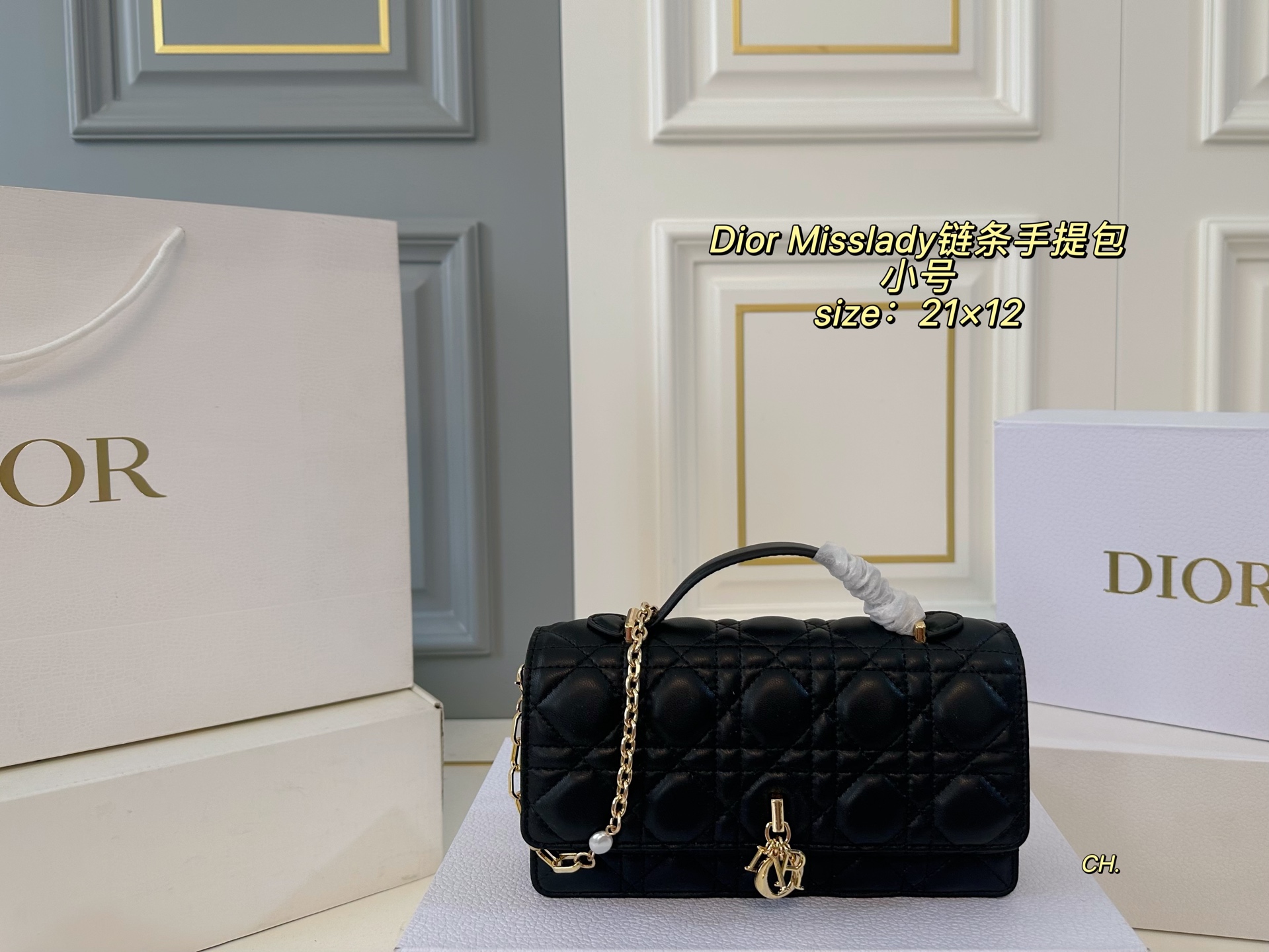DIOR bag 61
